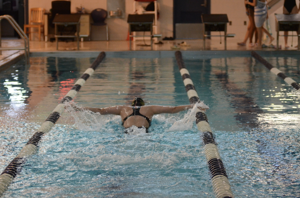 A Bronx Science Girls' Varsity swimmer warms up her butterfly stroke.